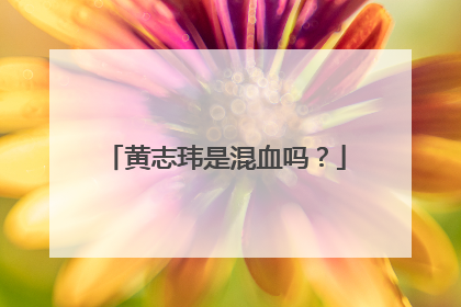 黄志玮是混血吗？