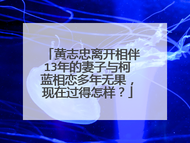 黄志忠离开相伴13年的妻子与柯蓝相恋多年无果，现在过得怎样？