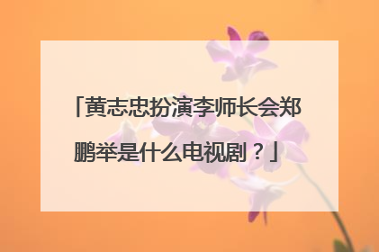 黄志忠扮演李师长会郑鹏举是什么电视剧?