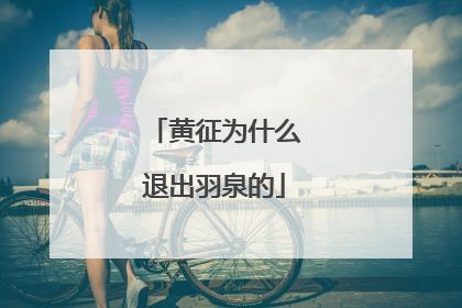 黄征为什么退出羽泉的