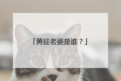 黄征老婆是谁？