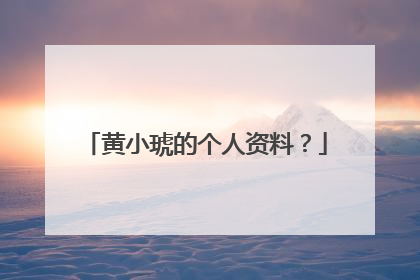 黄小琥的个人资料？