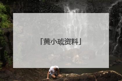 黄小琥资料