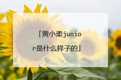 黄小柔junior是什么样子的