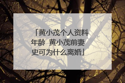 黄小茂个人资料年龄 黄小茂前妻史可为什么离婚