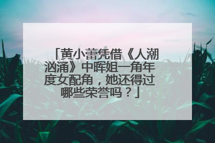 黄小蕾凭借《人潮汹涌》中晖姐一角年度女配角,她还得过哪些荣誉吗?