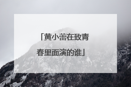 黄小蕾在致青春里面演的谁