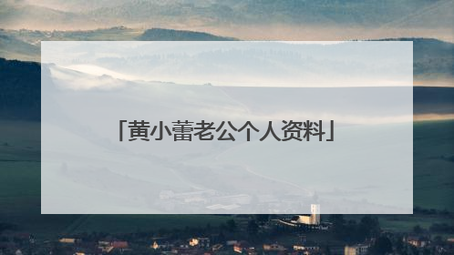 黄小蕾老公个人资料