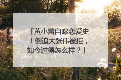 黄小蕾自曝恋爱史!倒追大张伟被拒,如今过得怎么样?