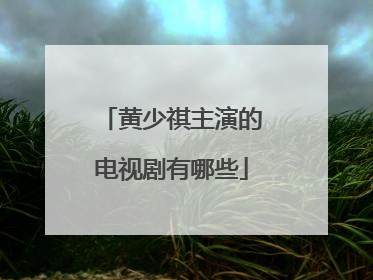 黄少祺主演的电视剧有哪些