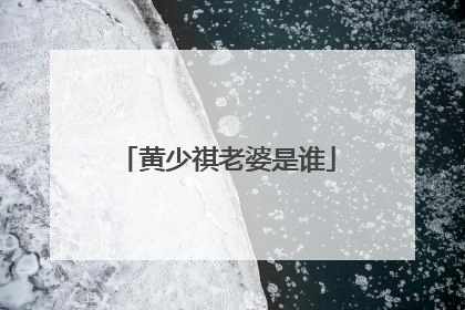 黄少祺老婆是谁