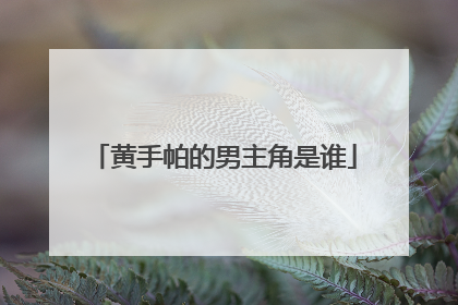 黄手帕的男主角是谁