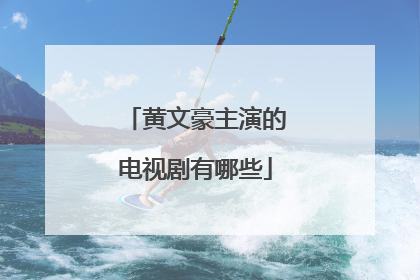 黄文豪主演的电视剧有哪些