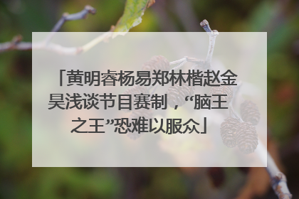 黄明睿杨易郑林楷赵金昊浅谈节目赛制，“脑王之王”恐难以服众