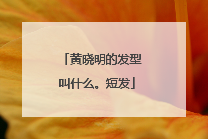 黄晓明的发型叫什么。短发