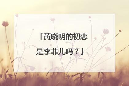 黄晓明的初恋是李菲儿吗？