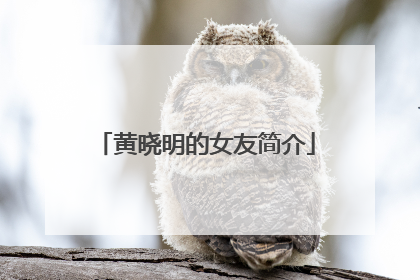 黄晓明的女友简介