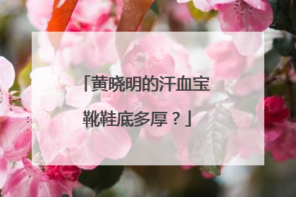 黄晓明的汗血宝靴鞋底多厚?