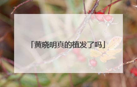 黄晓明真的植发了吗