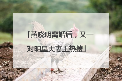 黄晓明离婚后，又一对明星夫妻上热搜