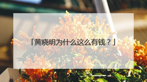 黄晓明为什么这么有钱?