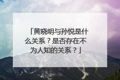 黄晓明与孙悦是什么关系？是否存在不为人知的关系？