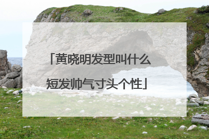 黄晓明发型叫什么 短发帅气寸头个性