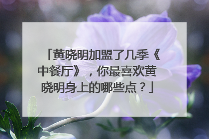 黄晓明加盟了几季《中餐厅》,你最喜欢黄晓明身上的哪些点?