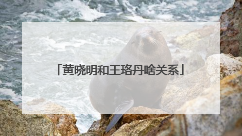 黄晓明和王珞丹啥关系