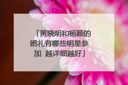黄晓明和杨颖的婚礼有哪些明星参加 越详细越好