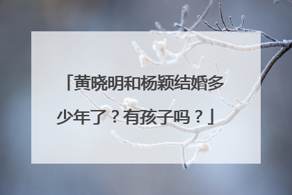 黄晓明和杨颖结婚多少年了？有孩子吗？