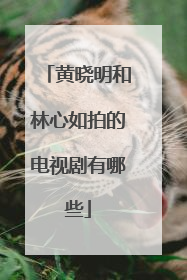 黄晓明和林心如拍的电视剧有哪些