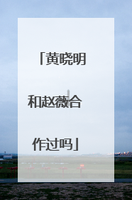 黄晓明和赵薇合作过吗