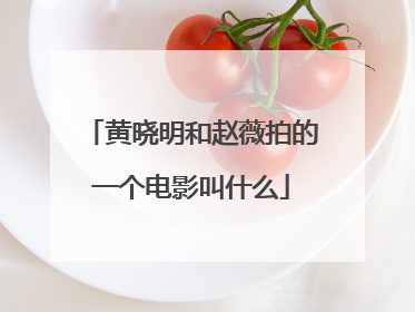 黄晓明和赵薇拍的一个电影叫什么