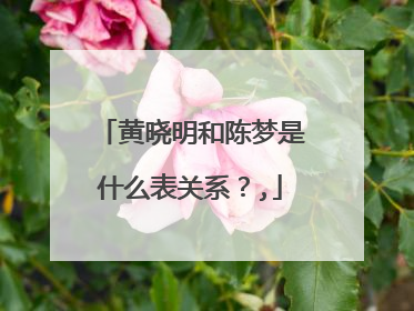 黄晓明和陈梦是什么表关系?,