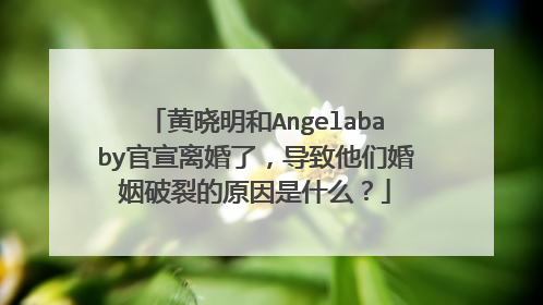 黄晓明和Angelababy官宣离婚了，导致他们婚姻破裂的原因是什么？