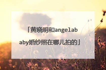 黄晓明和angelababy婚纱照在哪儿拍的