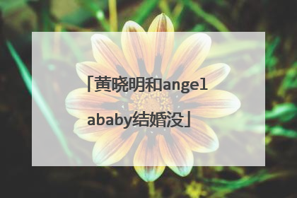黄晓明和angelababy结婚没