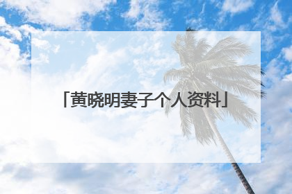 黄晓明妻子个人资料