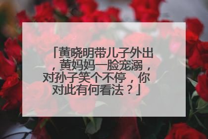 黄晓明带儿子外出,黄妈妈一脸宠溺,对孙子笑个不停,你对此有何看法?