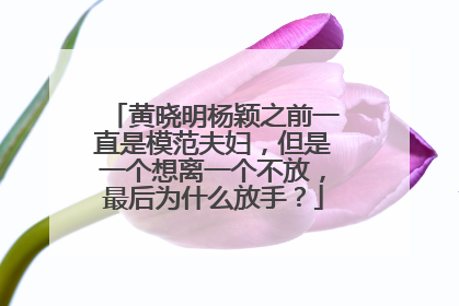 黄晓明杨颖之前一直是模范夫妇,但是一个想离一个不放,最后为什么放手?