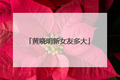 黄晓明新女友多大