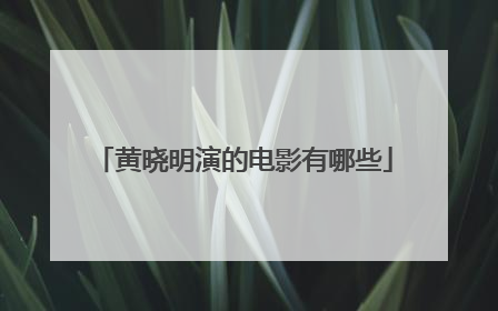 黄晓明演的电影有哪些