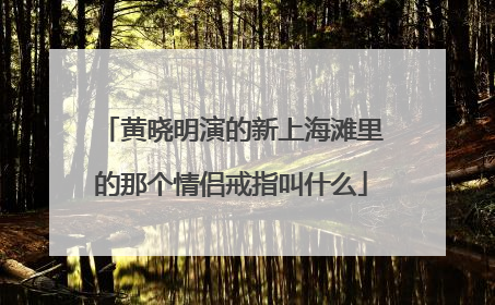 黄晓明演的新上海滩里的那个情侣戒指叫什么
