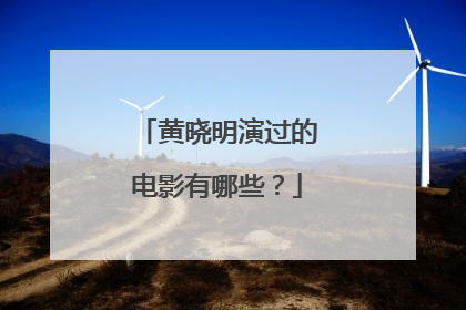 黄晓明演过的电影有哪些？