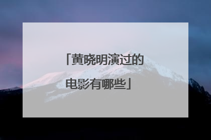 黄晓明演过的电影有哪些