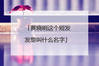黄晓明这个短发发型叫什么名字