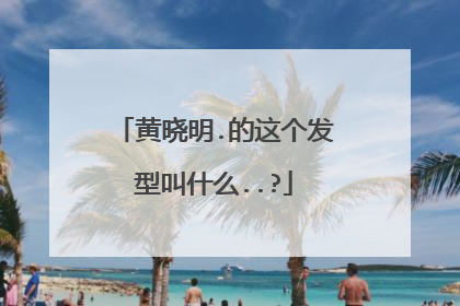 黄晓明.的这个发型叫什么..?