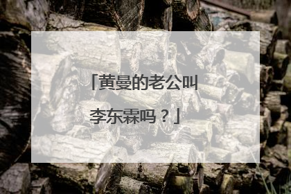 黄曼的老公叫李东霖吗?