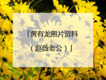 黄有龙照片资料(赵薇老公)